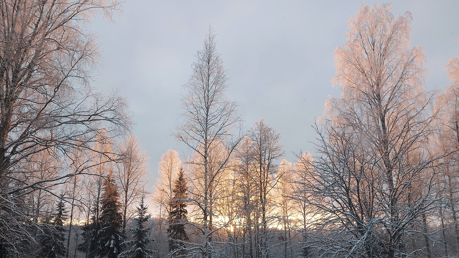 Halssilan purkutyömaan kuvituskuva